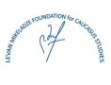 Levan Mikeladze Foundation